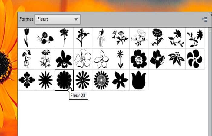 panel Capas