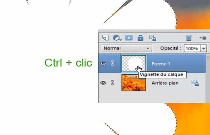 Simplificar capa