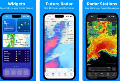El tiempo de la zanahoria
