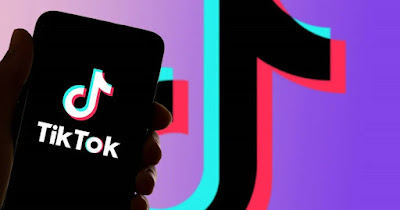 Ver perfil de TikTok