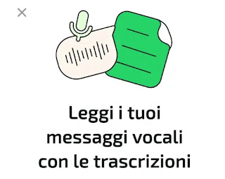 Transcripciones de WhatsApp