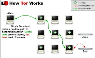 Tor Red