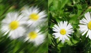Centrarse en fotos borrosas Imágenes borrosas