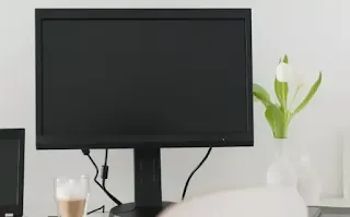 La PC no puede ver nada.