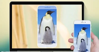 pantalla del teléfono de la computadora