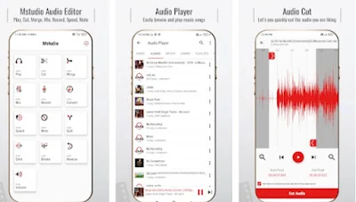 Aplicación Mstudio estudio