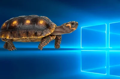 Inicio lento de Windows 11