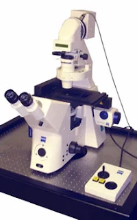 microscopio en línea